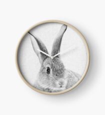 Rabbit 33 Uhr