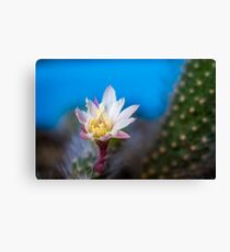 Flower macro Canvas Print