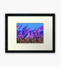 Purple Canefields of Home Framed Print