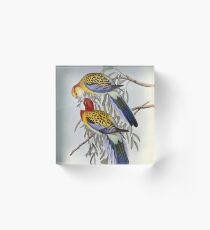 John Gould - Eastern Rosella Acrylic Block