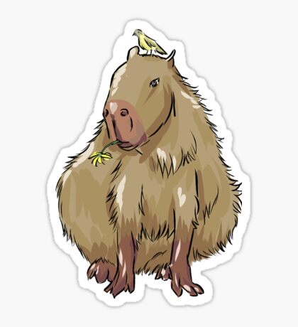 Capybara: Gifts & Merchandise | Redbubble