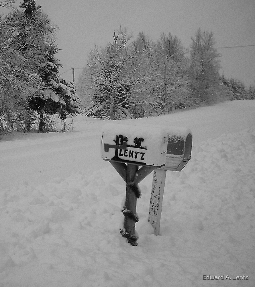 Luto En Invierno N 3 Buzon Rural Breadalbane Isla Del Principe Eduardo Canada Diciembre De 08 De Edward A Lentz Redbubble