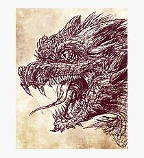 Dragon Ink Photographic Print