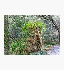Trolls Before the Internet Photographic Print