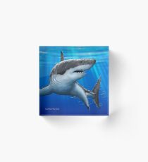 Blue Predator - Great White Shark Acrylic Block