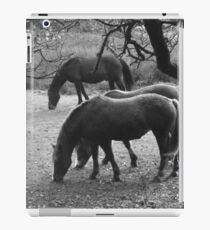 Horse business iPad Case/Skin