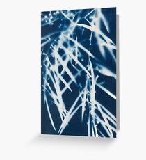 Wattle Greeting Card