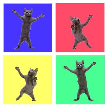 Dancing Cat Meme