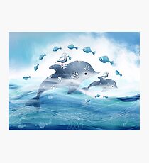 Dolphin Love Photographic Print