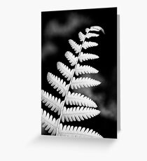 contrast Greeting Card
