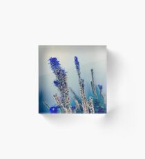 Blue Flare Acrylic Block