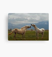 Playful Canvas Print