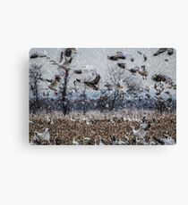 Double Snowstorm Canvas Print