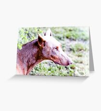 Lady Greeting Card