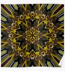 Amazing Mandala 19 Poster
