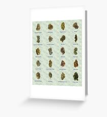 Medical Marijuana Greeting Card