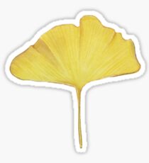 Gingko biloba Sticker