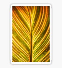 Color leaves background Sticker