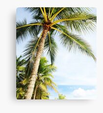 Palm Tree Canvas Print