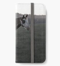Ghostly Equine iPhone Wallet/Case/Skin