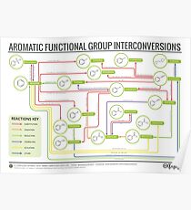Aromatic Reactions Map Poster