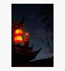 Shrine Fox Photographic Print