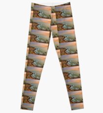 Pelican Cove At Sunset Leggings