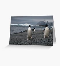 Here come the guys... Greeting Card