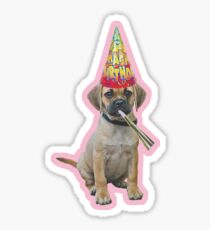Puggle Birthday Sticker