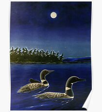 A Family Of Loons Poster