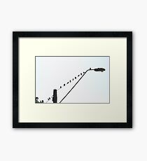 Birds on a wire Framed Print