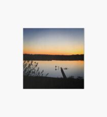 Osprey and Heron at Sunset Art Board