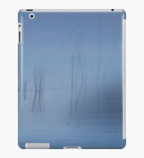 Jordan Pond iPad Case/Skin