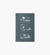 Canid Skulls I Art Board