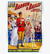 BARNUM & BAILEY: Weinlese-Zirkus-Giraffen-Werbungs-Druck Poster