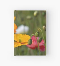 Poppies 1 Hardcover Journal
