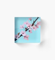 Cherry Blossoms Acrylic Block