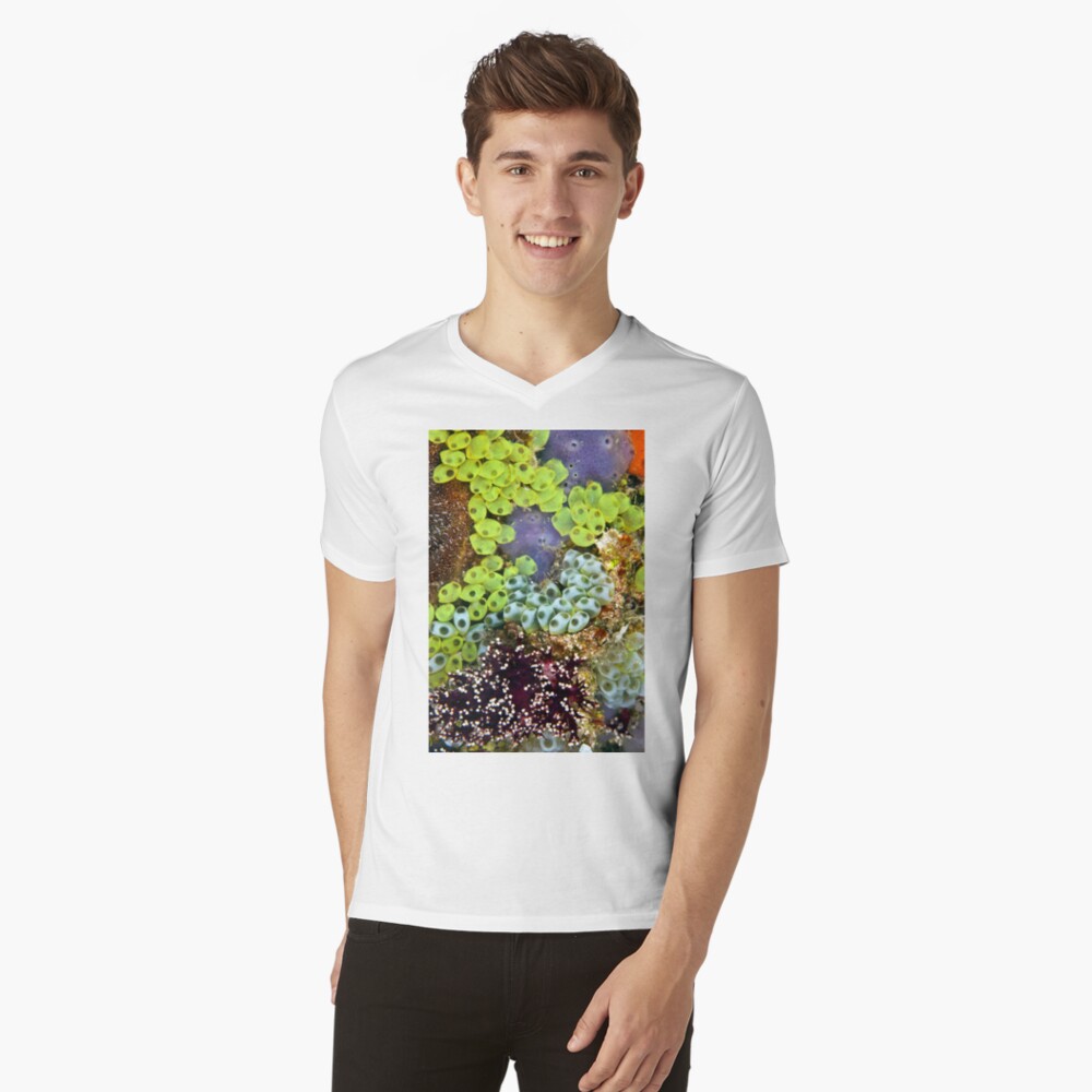 Potpourri V-Neck T-Shirt