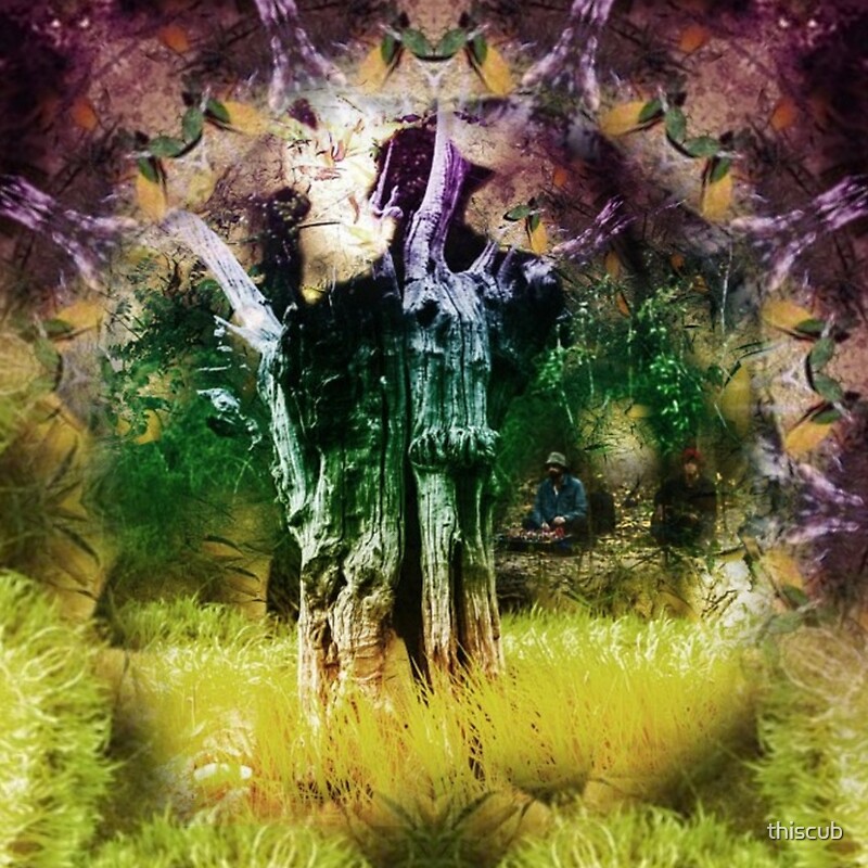 Animal Collective Meeting of the Waters!" Graphic T-Shirts by ... Animal Collective Meeting of the Waters!" Graphic T-Shirts by ...