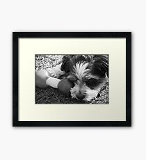 Lonely.... Framed Print