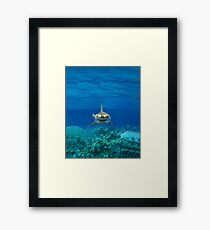 Hai Gerahmtes Wandbild