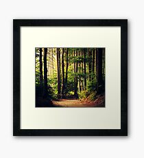 Wälder rufen an Gerahmtes Wandbild