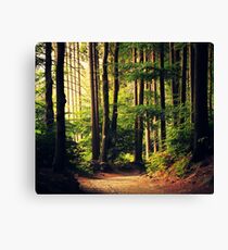 Woods appellent Impression sur toile