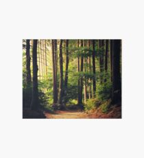 Woods Are Calling Art Board