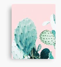 Cacti, Cactus, Cacti print, Cactus art, Desert, Nature, plant, Minimalist, Modern Canvas Print