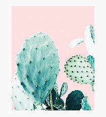 Cacti, Cactus, Cacti print, Cactus art, Desert, Nature, plant, Minimalist, Modern Photographic Print