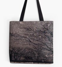 Reflection Tote Bag