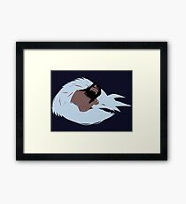 Samurai Jack and Wolf Framed Print