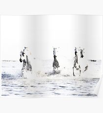 Wilde Pferde, weiße Pferde, Pferd drucken, Pferd Kunst, Wandkunst, Wanddekoration, Trendy print, Animal print, Interior Poster