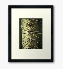 Spike Framed Print